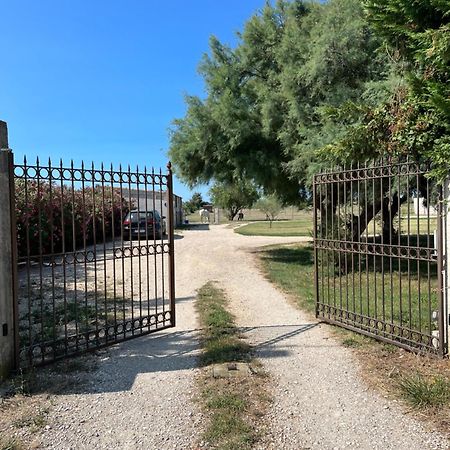 « La Parenthese » Gite En Camargue Arles Dış mekan fotoğraf